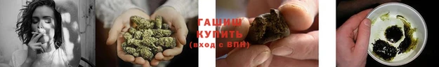 ГАЛЛЮЦИНОГЕННЫЕ ГРИБЫ Беломорск