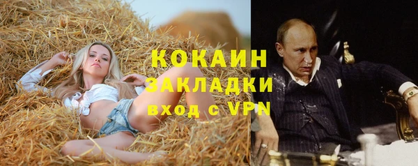 твердый Белокуриха