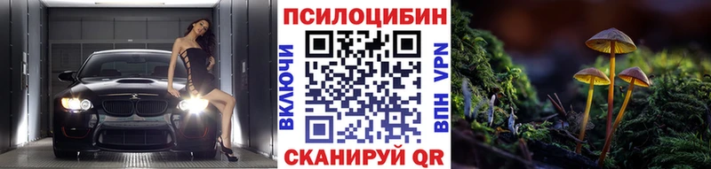 купить наркоту мориарти Telegram Псилоцибиновые грибы прущие грибы Малая Вишера OMG tor